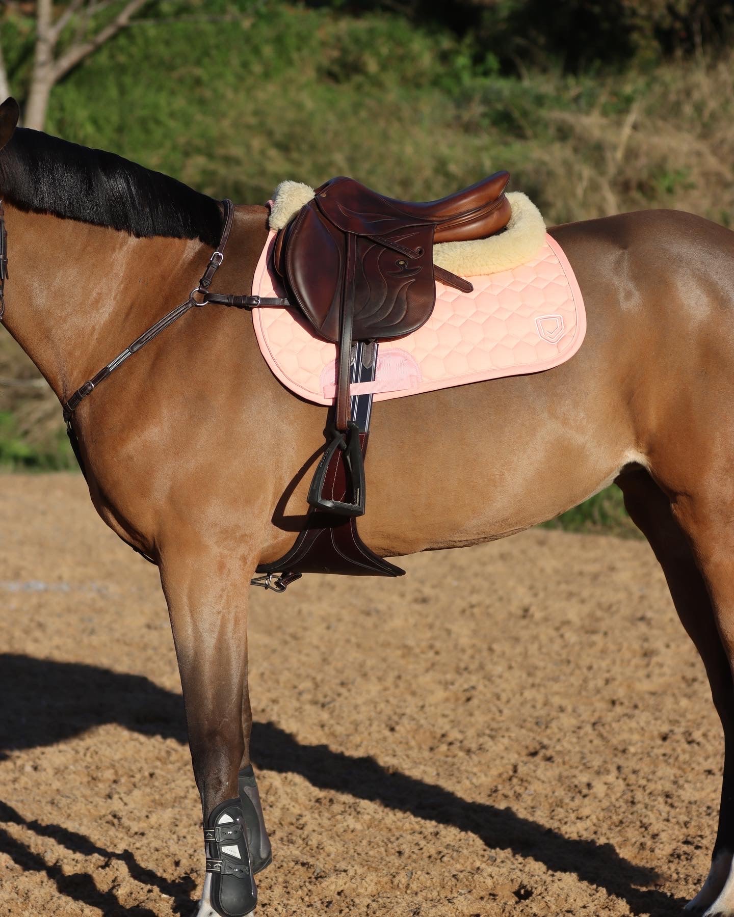 Equestrian Wear in 2023