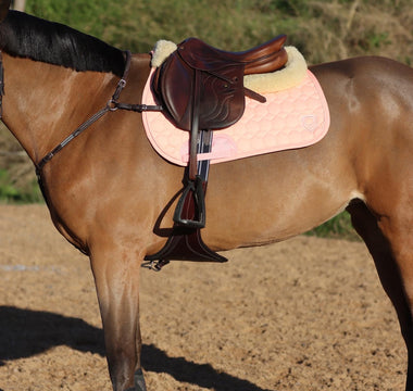 Equestrian Wear in 2023