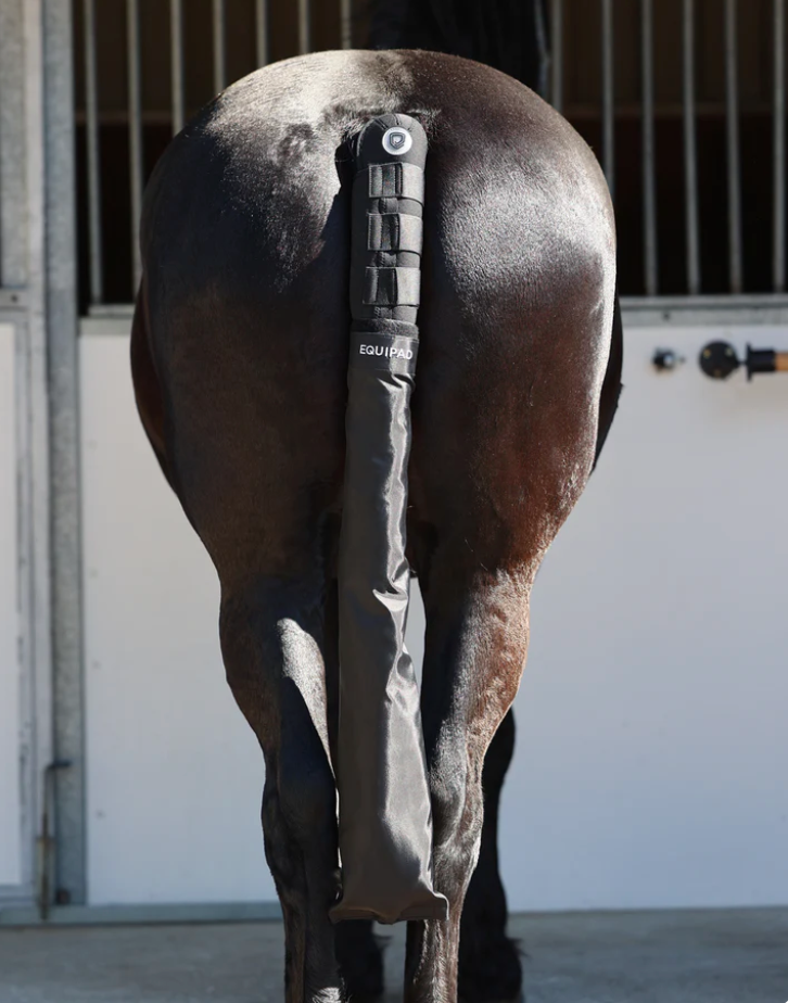 Safe floating for your horse (+ your mind!)