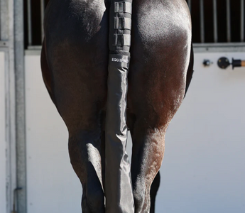 Safe floating for your horse (+ your mind!)