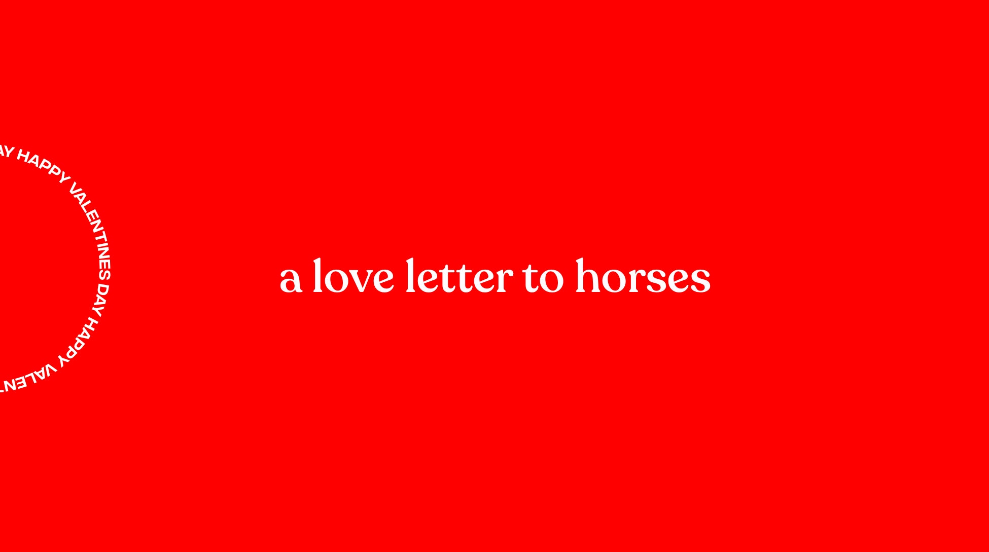 A love letter to our horse