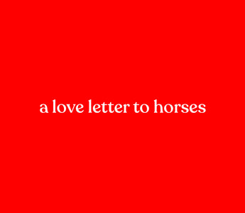 A love letter to our horse