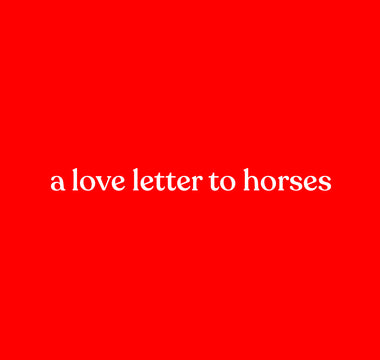 A love letter to our horse
