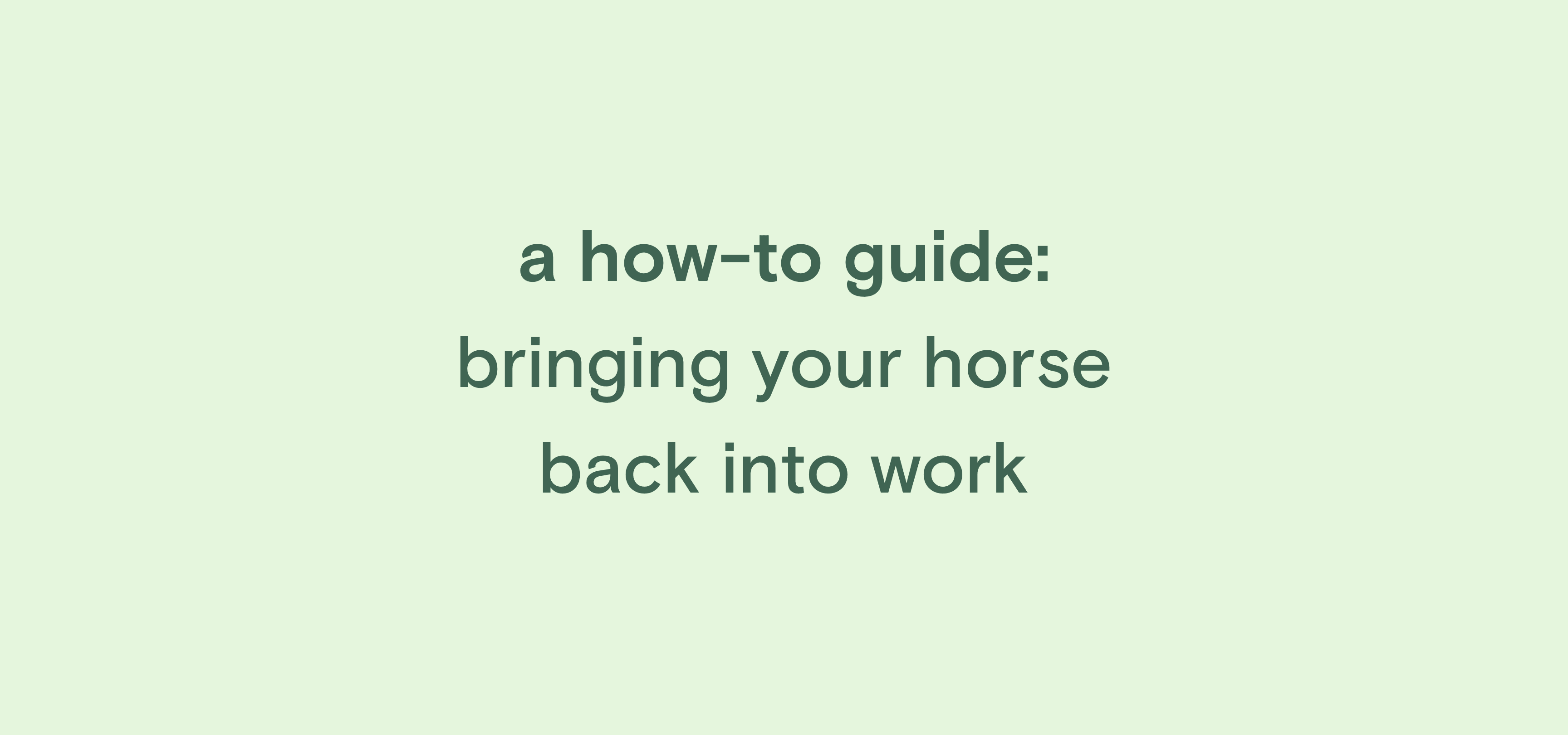 Bringing your horse back into work | Equipad