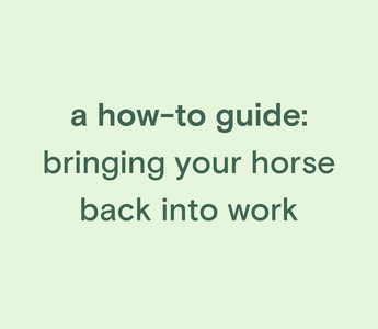 Bringing your horse back into work | Equipad