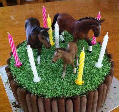 a birthday cake showing horses in a field with candles