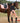 Dressage Saddle Pad - Peach Pink